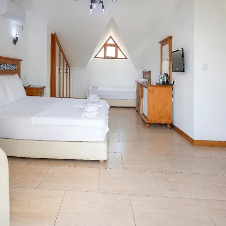 达特恰奇列克酒店 酒店 4*